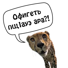Бесленей.Ru №21
