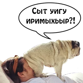 Бесленей.Ru №26