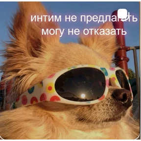 Новые №11