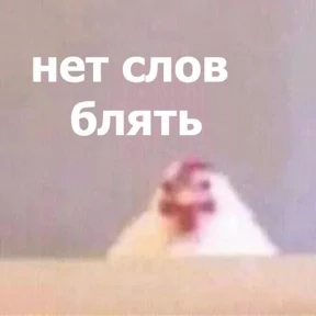meme №2