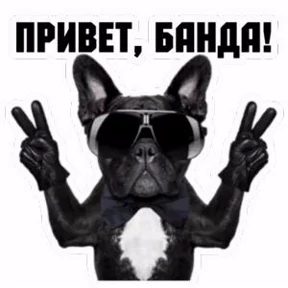 Разные №57