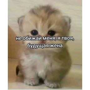 Мартыхи №7