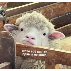 Ыы №1