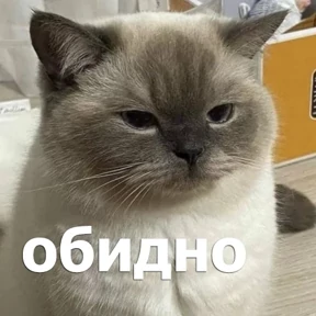 Именно они №18