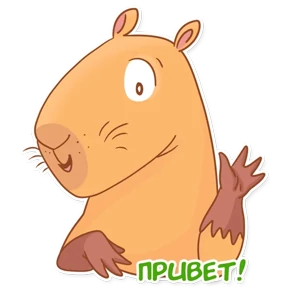 Капи Барри №3
