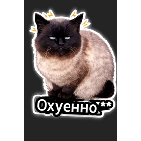 Коты №2