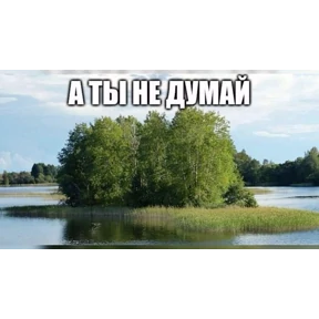 чюпеп №53