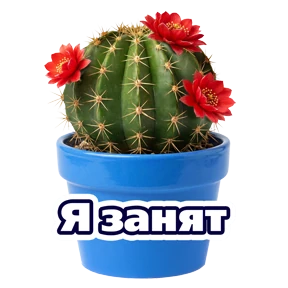 Расцветай с Карьера в ВТБ №12