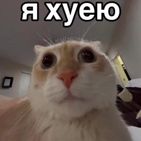 ALEVTINA_BOOST №24