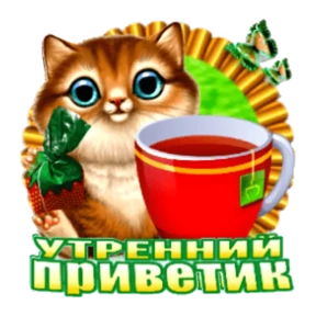 Доброе утро №29