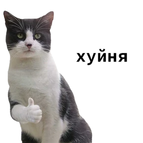 Треш №7