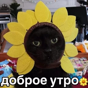 Люлик 2 №38