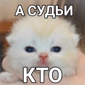 Люлик 2 №41