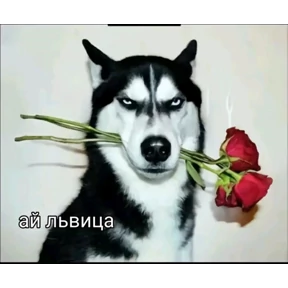 Животные №9
