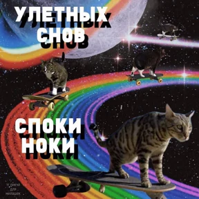 Для важных переговоров №26
