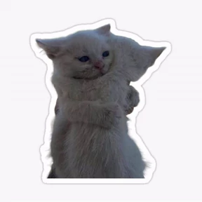 Котики №14