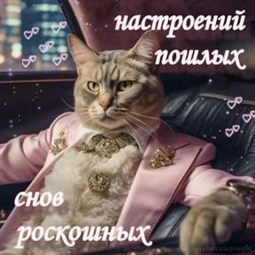 Пиу пиу №14