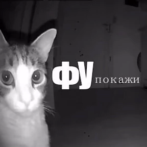 Пиу пиу №32