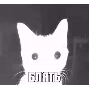 Пиу пиу №36