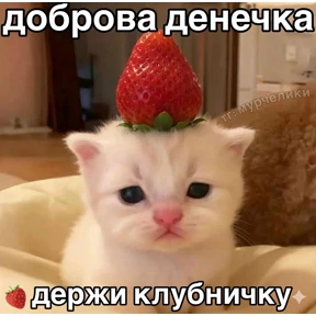 Котики №28