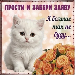 Эх ты №2