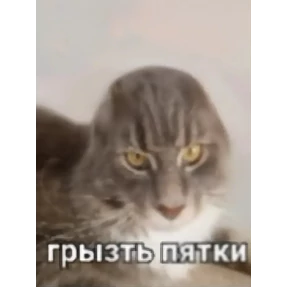 степлер №6