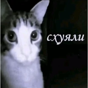 степлер №19