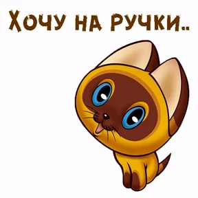 Котёнок ГАВ №8