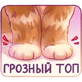 мявс №23