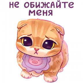 мявс №42