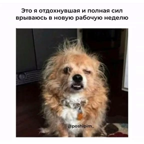 Работа №1