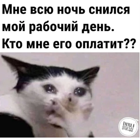 Работа №4