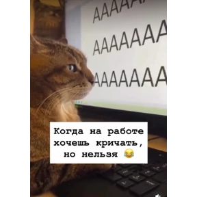Мои 3 №20