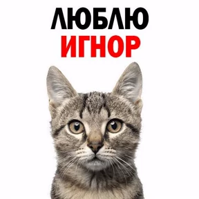 Мои 3 №21