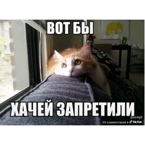 Ура №11