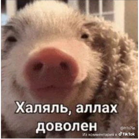 Ура №27