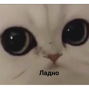 любими №2