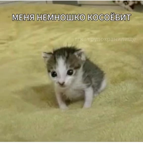 Заводовские №10