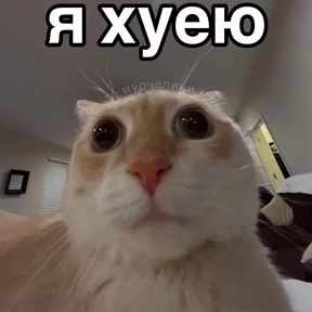 Заводовские №19