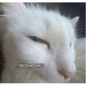 Заводовские №27