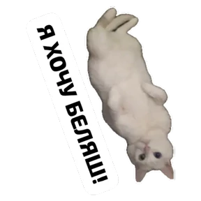 Крысиные №33