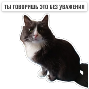 Крысиные №40