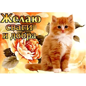 набор сашки прониной №43
