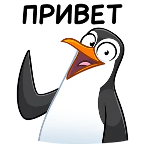 Пингвин №6