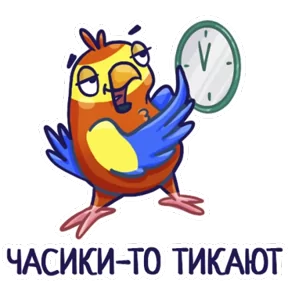 Попугайчики №6