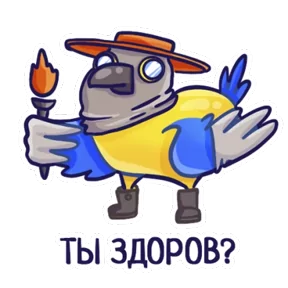 Попугайчики №8