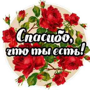 Цветы и пожелания №9