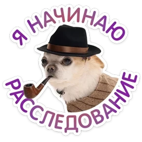 Пёсели №5