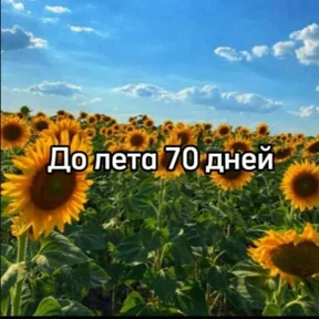 До лета №16