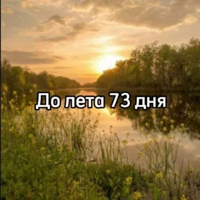 До лета №15